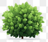 PNG Cartoon shrub bush illustration green plant.