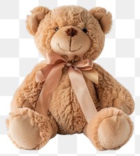 PNG Cute plush teddy bear gift