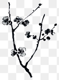 PNG Branch blossom black white art.