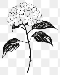 PNG Drawing sketch flower leaves.