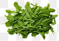 PNG Fresh green arugula leaves vegetable plant food. 