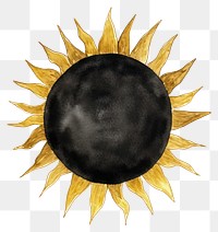 PNG Black color sun white background accessories sunflower.