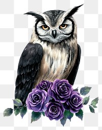 PNG Owl witch with purple and black roses art illustration realistic.