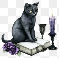 PNG Cat sitting on a book candle cat illustration.