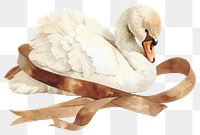 PNG Brown coquette swan illustration watercolor ribbon.