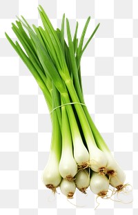 PNG Green onions vegetable plant food.