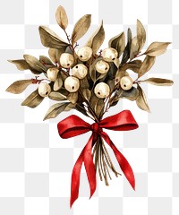 PNG Mistletoe bouquet illustration watercolor christmas.