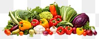 PNG Colored vegetables plant food white background.