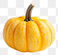 PNG Pumpkin vegetable thanksgiving centerpiece.