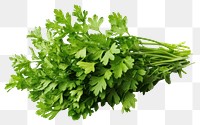 PNG Parsley parsley herbs ingredient.