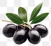 PNG Black olives with branch and leaves leaf food mediterranean.