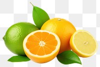 PNG Fresh citrus fruits grapefruit lemon plant.