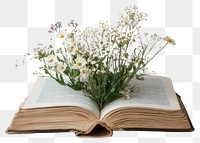 PNG Book with wildflower flowers wildflowers aesthetic.