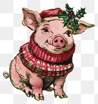 PNG Pig character christmas animal cute.