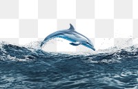 PNG Deep blue ocean with dolphin jumping animal mammal waves.