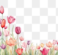 PNG Tulip border backgrounds flower plant.