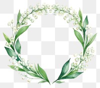 PNG Lily of valley wreath border flower plant leaf.