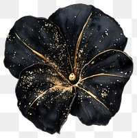 PNG Black morning glory painting flower black.