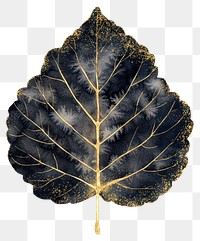 PNG Black poplar leaf watercolor black gold.