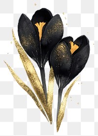 PNG Obsidian black crocus flowers gold art.