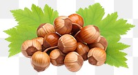 PNG Hazelnuts vegetable plant food.