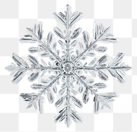 PNG A white snowflake background nature chandelier.