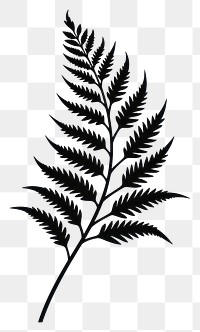 PNG Fern leaf silhouette plant black.