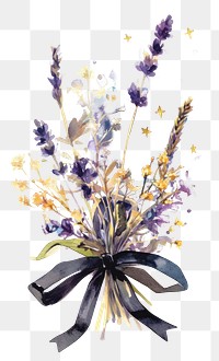 PNG Herb illustration watercolor lavender.