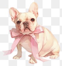 PNG Coquette French Bulldog bulldog illustration animal.