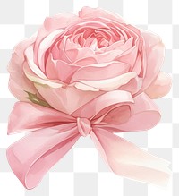 PNG Coquette rose illustration watercolor flower.