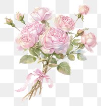 PNG Coquette Roses roses art illustration.