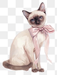 PNG Coquette Siamese siamese illustration animal.