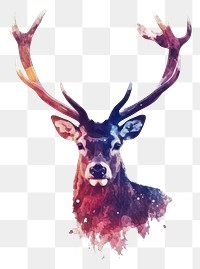 PNG Galaxy element face of deer in Watercolor wildlife antler animal.