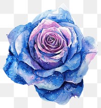 PNG Rose Watercolor watercolor flower art.