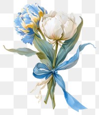 PNG Blue coquette tulip art illustration watercolor.