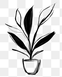 PNG Calla lilies sketch plant black.