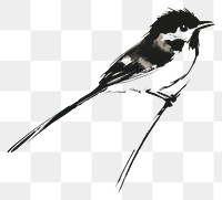 PNG A bird art illustration minimalist.