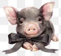 PNG Black coquette pig illustration watercolor animal.