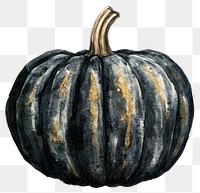 PNG A black helloween pumpkin watercolor painting illustration.