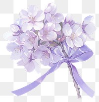 PNG Purple coquette cherry blossom illustration watercolor flowers.