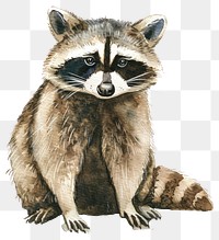 PNG An isolated raccoon illustration watercolor wildlife.