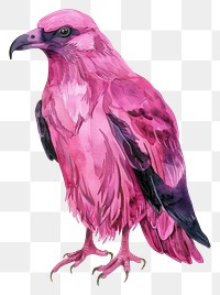 PNG Raven illustration watercolor colorful.