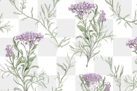 PNG Rosemary flower backgrounds lavender rosemary.