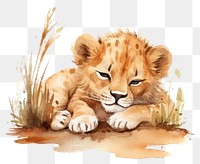 PNG Watercolor 2 baby lion sleeping animal wildlife cartoon.