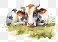 PNG Watercolor cow sleeping animal livestock cartoon.