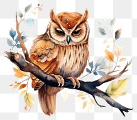 PNG Watercolor owl sleeping animal cartoon branch.