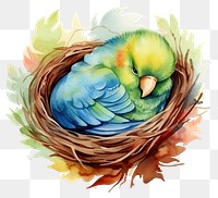 PNG Watercolor parrot sleeping painting cartoon animal.