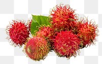 PNG Photo of rambutan chandelier produce fruit.