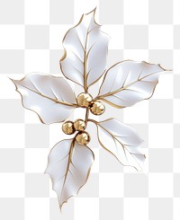 PNG Holly illustration christmas leaves.