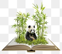 PNG Panda sitting in bamboo jungle wildlife plants panda.